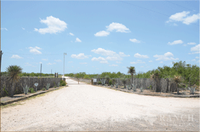 ranch 10000 acres, Webb county county - image