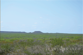 400 acre Ranch for sale image #2