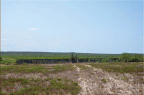  400 acre Ranch for sale image #25