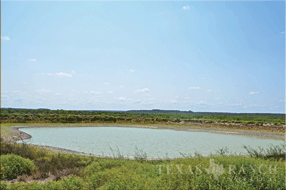  400 acre Ranch for sale image #26