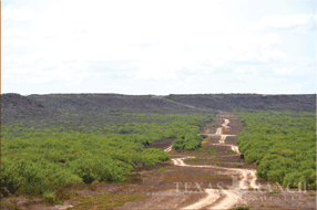  400 acre Ranch for sale image #3