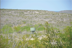  400 acre Ranch for sale image #32