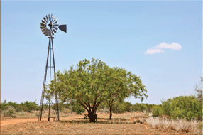  400 acre Ranch for sale image #36