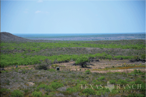  400 acre Ranch for sale image #4