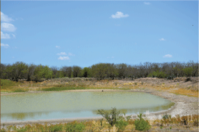  400 acre Ranch for sale image #5