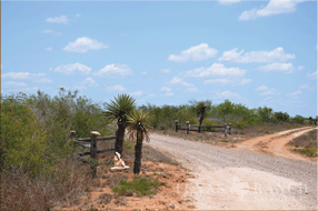  400 acre Ranch for sale image #7