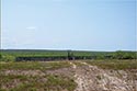 10,000 acre ranch Web / Zavala County image 25