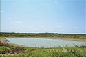 10,000 acre ranch Web / Zavala County image 26