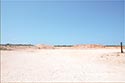 10,000 acre ranch Web / Zavala County image 29