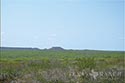 10,000 acre ranch Web / Zavala County image 2