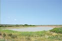 10,000 acre ranch Web / Zavala County image 30