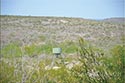 10,000 acre ranch Web / Zavala County image 31