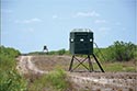 10,000 acre ranch Web / Zavala County image 35