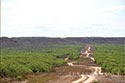 10,000 acre ranch Web / Zavala County image 3