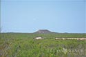 10,000 acre ranch Web / Zavala County image 6