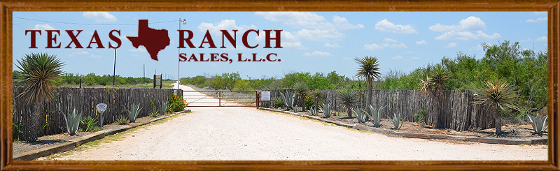 10000 acres Webb / Zapata County