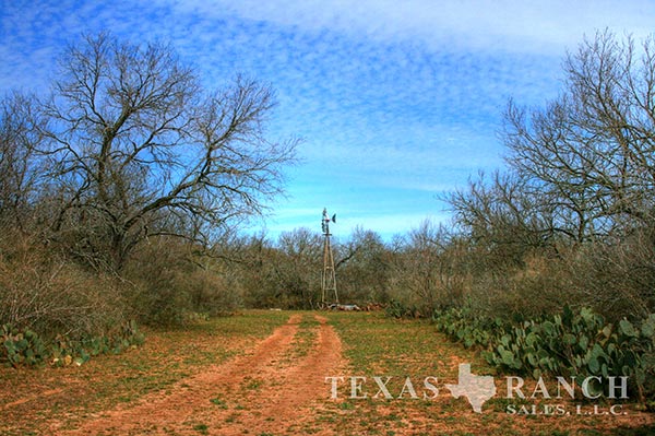 Medina County 100 Acre Ranch Image Gallery.