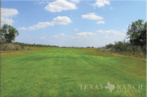 hunting ranch 100 acres, Uvalde county - image