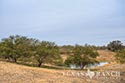 1029 acre ranch Uvalde County image 40