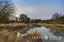 1029 acre ranch Uvalde County image 52