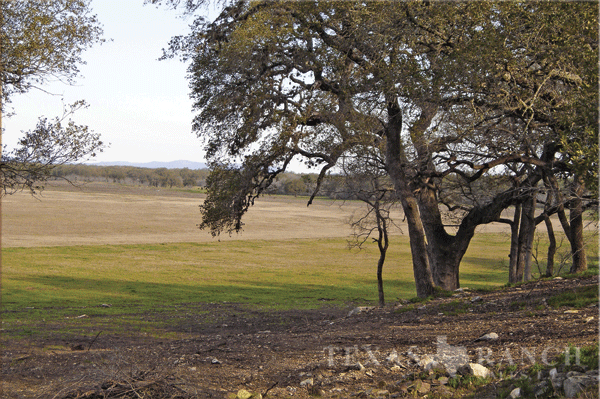 105 acre ranch Medina County image 1