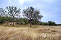 105 acre ranch Medina County image 16