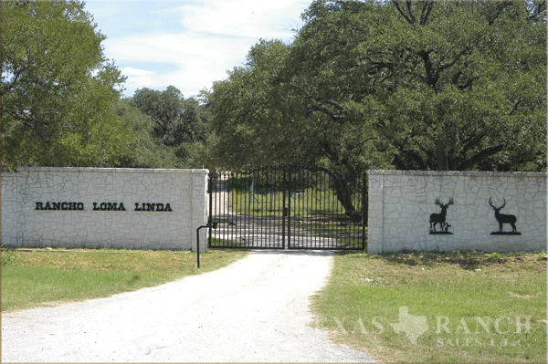 cattle ranch 1067 acres, Uvalde county - image