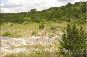 ranch real estate sale, 1150 acres, image 10