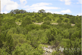 ranch real estate sale, 1150 acres, image 11