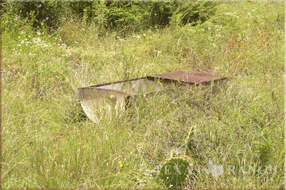 ranch real estate sale, 1150 acres, image 9
