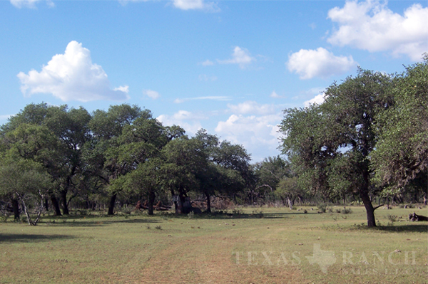 horse property 118 acres bandera county