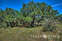 123 acre ranch Real County image 11