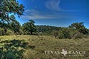 123 acre ranch Real County image 15