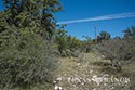 123 acre ranch Real County image 17
