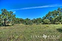 123 acre ranch Real County image 26