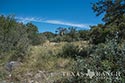123 acre ranch Real County image 37