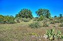 123 acre ranch Real County image 5