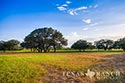 1302 acre ranch Medina County image 33