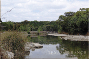 ranch real estate sale, 133 acres, image 2