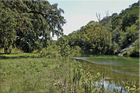 ranch real estate sale, 133 acres, image 4