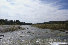 ranch real estate sale, 133 acres, image 5
