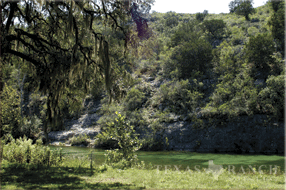ranch real estate sale, 133 acres, image 6