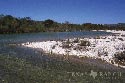 133 acre ranch Uvalde County image 3