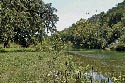 133 acre ranch Uvalde County image 4