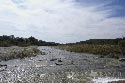 133 acre ranch Uvalde County image 5