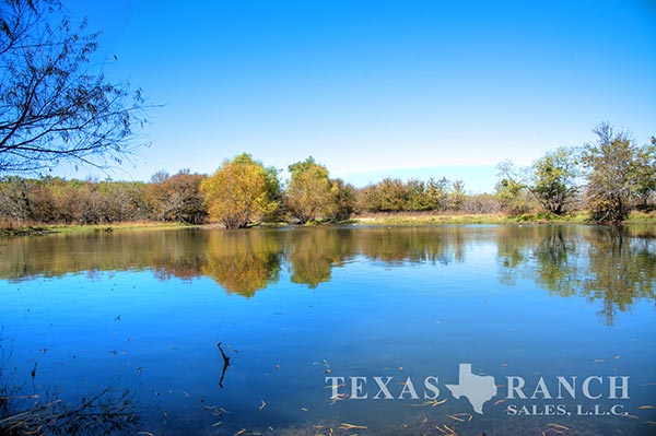 Ranch sale 134 acres, McLennan county image 2