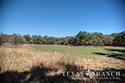 134 acre ranch McLennan County image 24