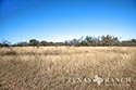 134 acre ranch McLennan County image 29