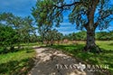 135 acre ranch Medina County image 25