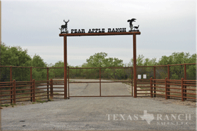 Hunting ranch 1413 acres, Zavala county - image